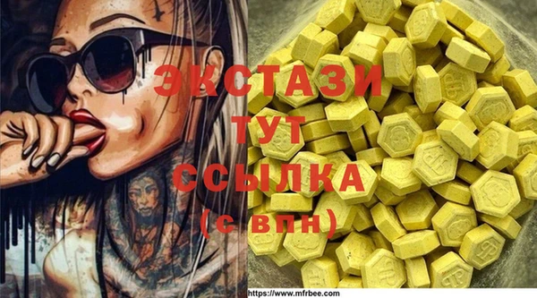 крисы Каменка