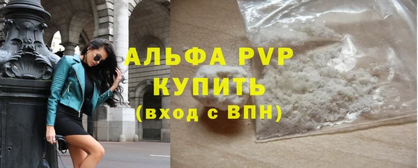 крисы Каменка